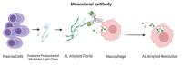 Amyloid light chain (AL) amyloidosis is an incurable rare monoclonal plasma cell dyscrasia closely related to multiple myeloma. The clonal plasma cells produce excessive misfolded monoclonal immunoglobulin light chains.